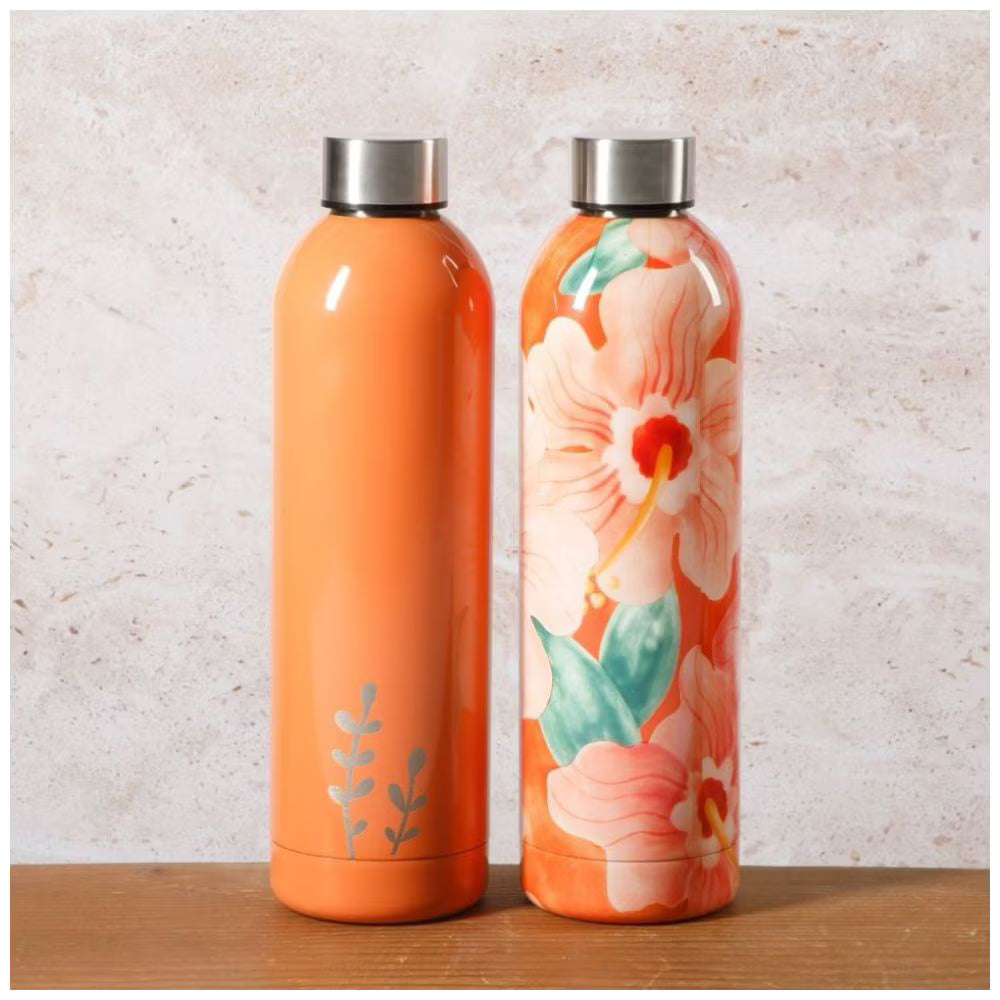 Set de 2 termos de Acero inoxidable Bloomhose de 739ml