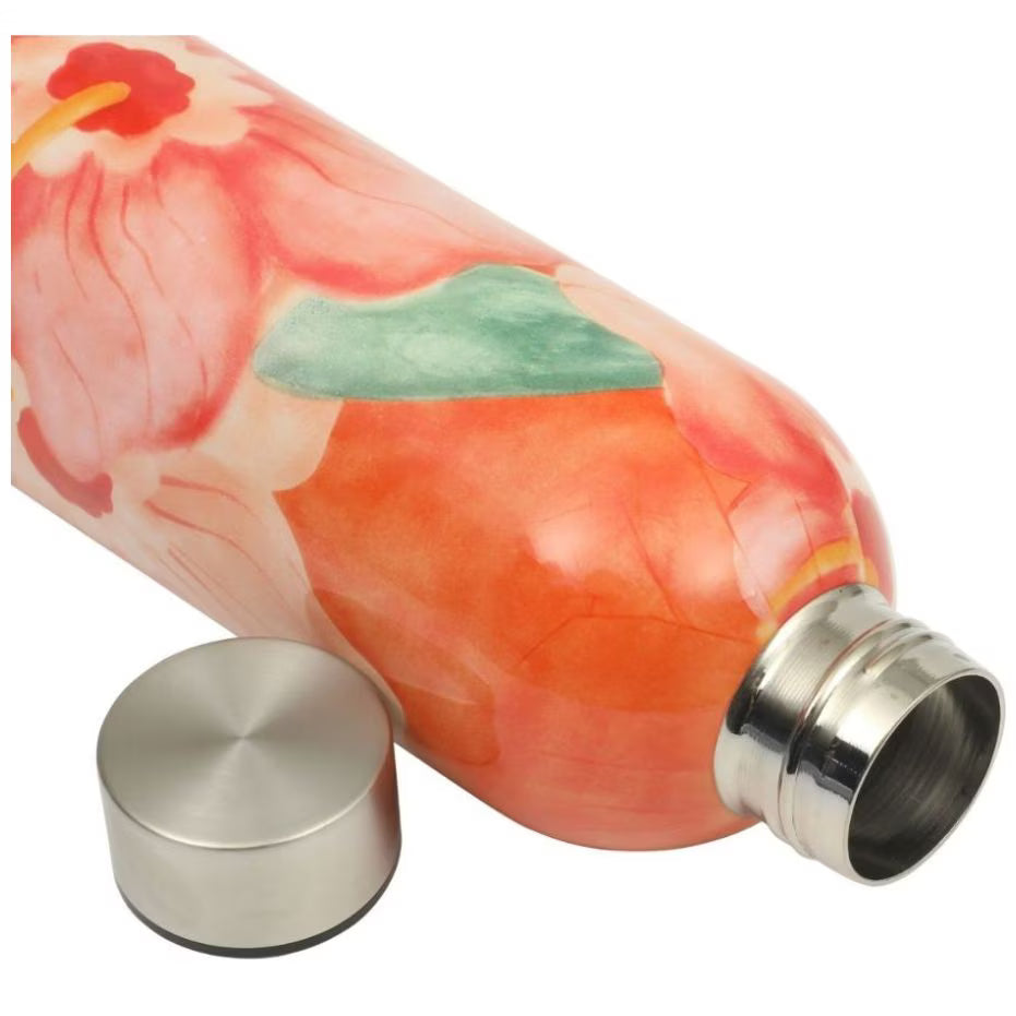 Set de 2 termos de Acero inoxidable Bloomhose de 739ml