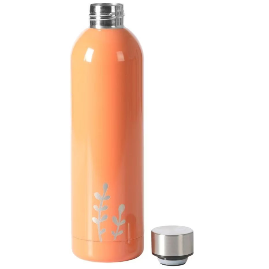 Set de 2 termos de Acero inoxidable Bloomhose de 739ml