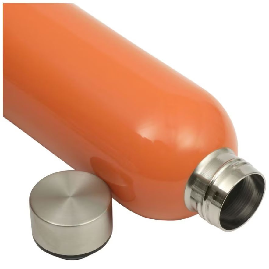 Set de 2 termos de Acero inoxidable Bloomhose de 739ml