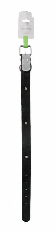 Collar para mascota