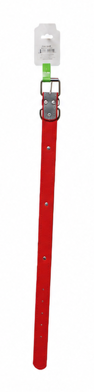 Collar para mascota